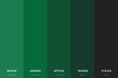 green and black color swatches with the same number on each side, in different colors