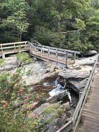 a wooden bridge over a small creek surrounded by trees and rocks with a waterfall in the background