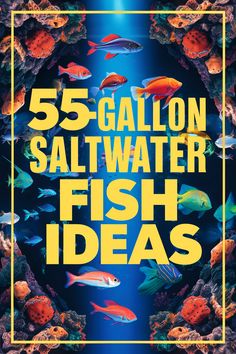 the cover of 55 gallon saltwater fish ideas