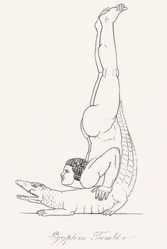 a drawing of a man doing a handstand on an alligator's back