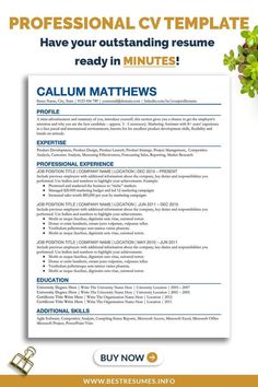 a professional cvt resume template with an image of a man on the beach in the background