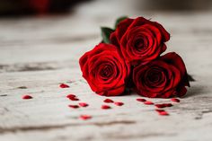 three red roses sitting on top of a table with the words 8 march day of beautiful ladies