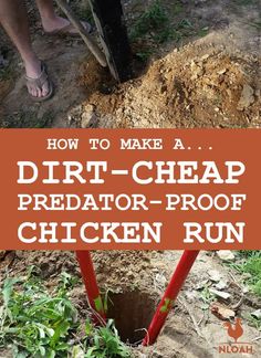 how to make a dirt - cheap predator proof chicken run in the garden or yard