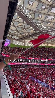 a person holding up a flag in front of a large crowd at a sporting event