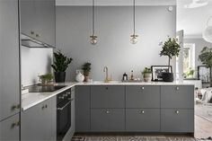 a kitchen filled with lots of counter top space and potted plants on the counters