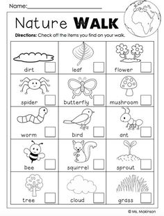 the nature walk worksheet with pictures and words to help kids learn how to write