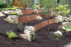 a garden with rocks and trees in it