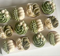 twelve cupcakes with green and white frosting in a box on a table