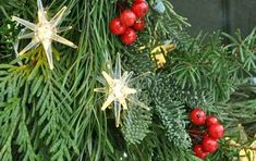 christmas decorations are hanging from the branches of a pine tree with red berries and gold stars