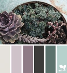 a potted plant sitting on top of a table next to a blue and gray color palette