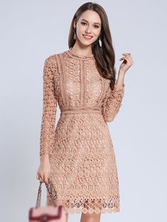 Elegant Pure Color Lace O-Neck Long Sleeve Skater Dress Daily Dresses, Long Sleeve Skater Dress, Fashion Design Dress, Design Dresses, Dress Stores Online, A Line Dresses