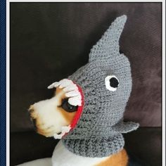 a stuffed dog wearing a knitted shark hat