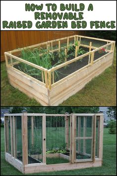 an outdoor garden bed made out of wood and wire with plants growing in the middle