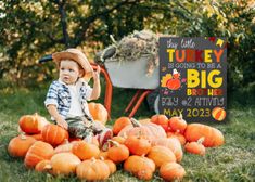 a little boy sitting on top of pumpkins in front of a sign that says, the little turkey is going to be a big brother