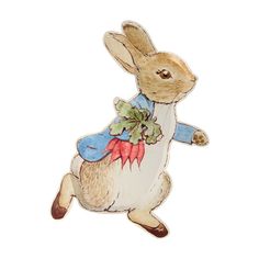 Peter Rabbit™ Plates 12ct | The Party Darling Peter Rabbit Characters, Beatrix Potter Illustrations, Rabbit Plate, Peter Rabbit Birthday, Peter Rabbit Party, Bunny Plates, Peter Rabbit And Friends, Bunny Baby Shower, Bunny Party