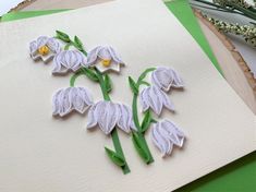 some white flowers are sitting on top of a piece of paper with green trimmings