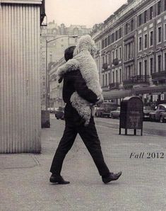 a man walking down the street carrying a large stuffed animal on his back, in front of some buildings