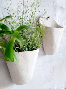 two white planters with plants in them hanging on a wall next to each other