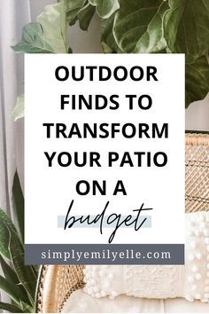 a plant with the words outdoor finds to transform your patio on a budget