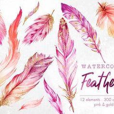 watercolor feathers clipart set in pink, gold and white with the words watercolor feathers on it