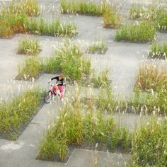 a person riding a bike through a field