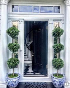 two potted plants in front of a doorway with the caption'i love you '