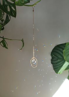 a white ceiling with some green plants and lights hanging from it