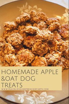 homemade apple and oat dog treats on a plate with text overlay that reads homemade apple and oat dog treats