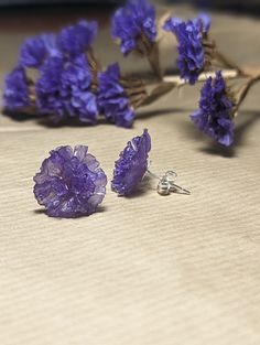 Introducing our beautiful Natural Sea Lavender Stud Earrings - each pair is made by hand, showcasing the charm of real sea lavender captured in resin. These earrings are not just accessories; they're a piece of nature you can wear every day. 🌿 Carefully Made: These earrings are crafted with care, making each one special. The sea lavender is put into resin, creating a unique piece. 🌸 Nature's Beauty: The sea lavender used in these earrings brings a bit of nature's beauty to your style. The colo Purple Sterling Silver Flower Earrings For Gift, Gift Purple Flower Earrings In Sterling Silver, Purple Pressed Flower Earrings Gift, Purple Pressed Flower Earrings For Gift, Purple Hypoallergenic Flower Earrings As Gift, Purple Resin Jewelry With Matching Earrings, Purple Resin Earrings As A Gift, Purple Resin Earrings As Gift, Purple Resin Earrings For Gift