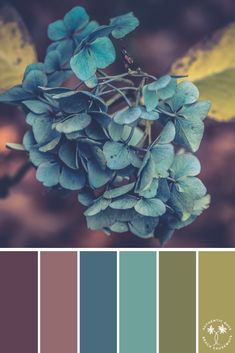 the color palette is blue, green and brown