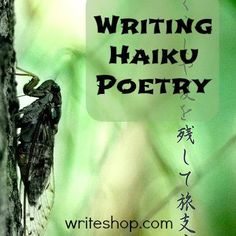 a book cover with writing haiku poetry written on it