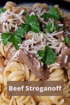 beef stroganoni with grated parmesan cheese and parsley on top