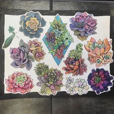 an assortment of succulent stickers on a piece of paper