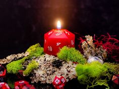 a red candle with numbers on it surrounded by moss and rocks, is lit in the dark