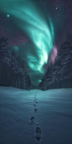 the sky is filled with green and purple aurora lights, as well as footprints in the snow