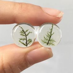 two tiny glass cabochons with green plants in them