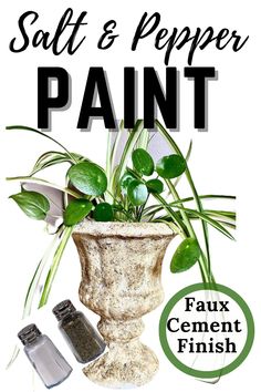 an advertisement for salt and pepper paint with plants in a vase on the side, next to some spices