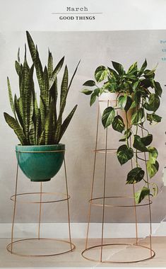 two potted plants sitting next to each other on top of metal stand stands in front of a white wall