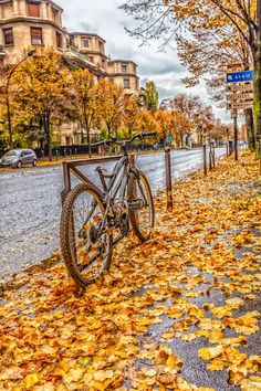 a bicycle parked on the side of a road covered in leaves