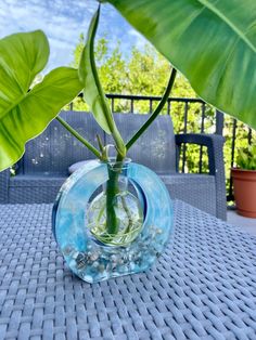 a plant in a glass vase sitting on a table