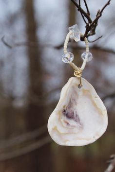 a white shell hanging from a tree branch with beads on it's end and some branches in the background