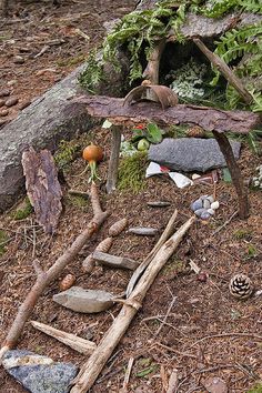 an outdoor area with rocks, logs and plants