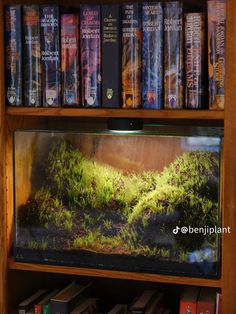 a book shelf filled with books next to a fish tank full of plants and moss