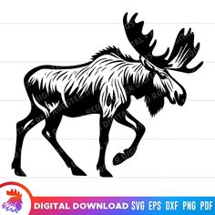 an image of a moose with large antlers on it's back and the words digital