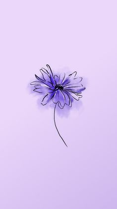 a single purple flower on a light purple background