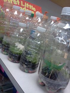 several plastic bottles filled with plants on top of a table next to eachother