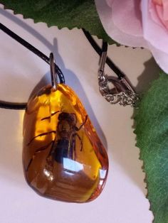 a glass pendant with a bee on it