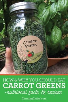 a person holding up a jar filled with green vegetables and text overlay reads how & why you should eat carrot greens + nutritional