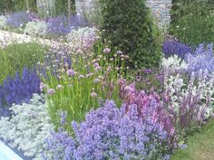 a garden filled with lots of purple and white flowers