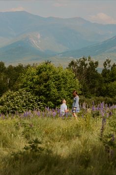 boyfriend proposing to girlfriend in Sugar Hill New Hampshire among the lupine. Wedding Proposals Mountains, Flower Field Proposal Ideas, Proposal In Flower Field, Lavender Field Proposal, Proposal In Mountains, Proposal On Mountain, Proposal In A Field, Hiking Proposal Ideas, Proposal Locations Ideas